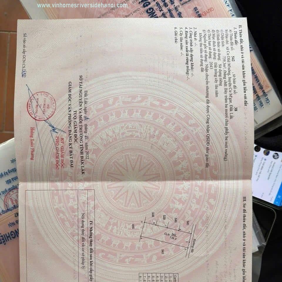 Nhận định thị trường bất động sản phía Nam năm 2026 từ các nhà chuyên môn