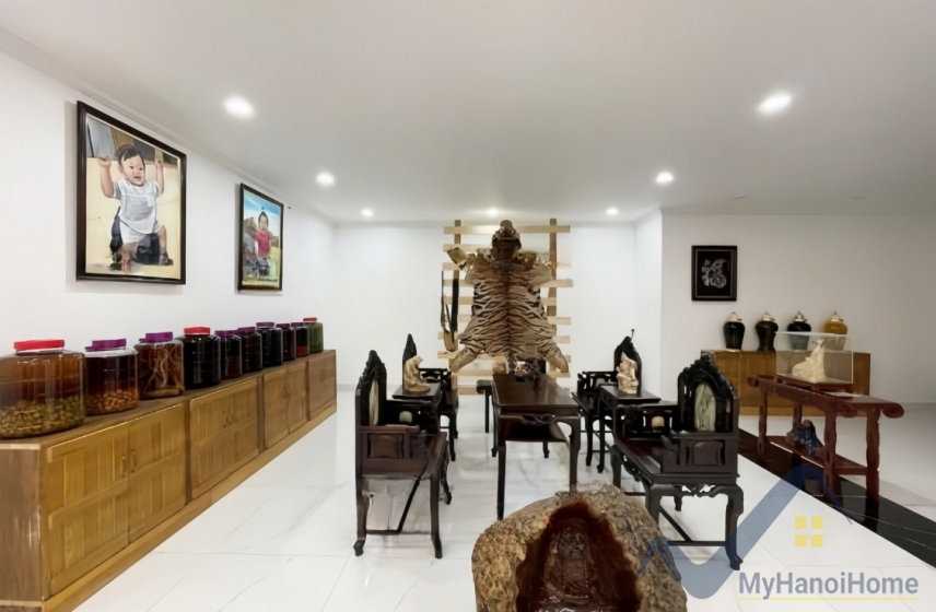 Biệt thự đơn lập cho thuê Vinhomes Riverside 4PN, có thang máy 7