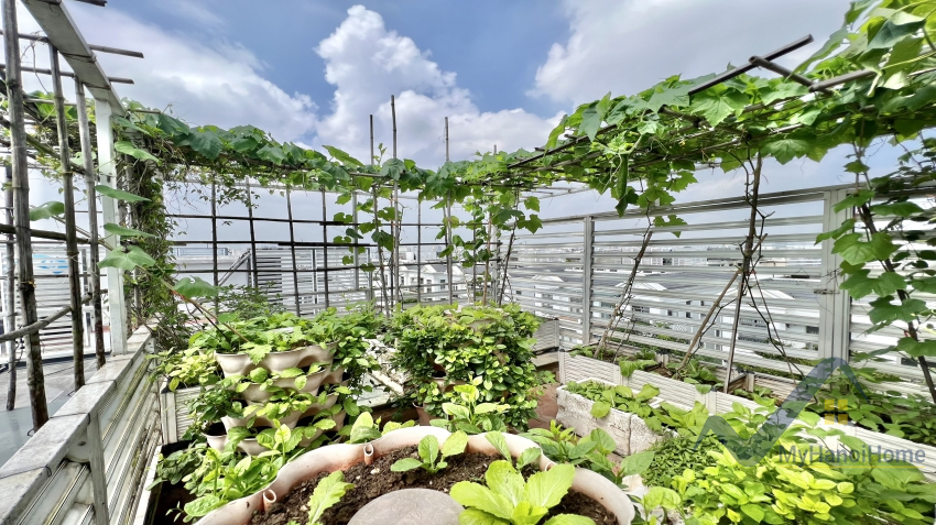 Biệt thự Vinhomes Harmony gần Vinschool cho thuê có thang máy 18
