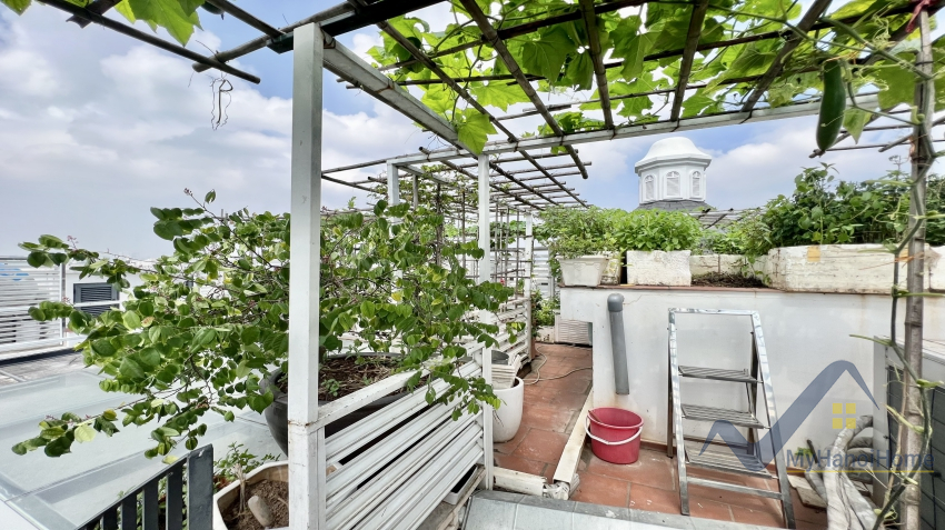 Biệt thự Vinhomes Harmony gần Vinschool cho thuê có thang máy 19