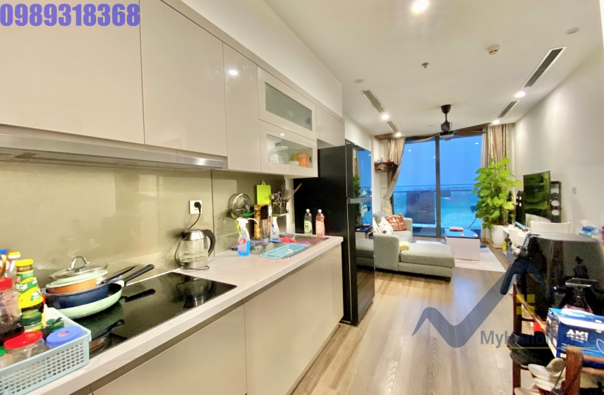 Cho thuê 2PN 2WC Symphony Long Biên nội thất hiện đại 2