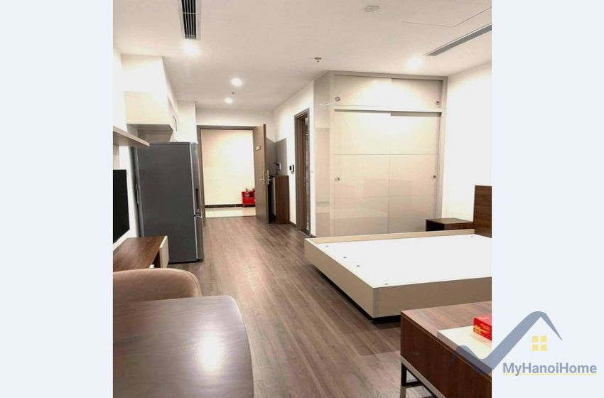 Thuê căn hộ Symphony Riverside studio full nội thất 3